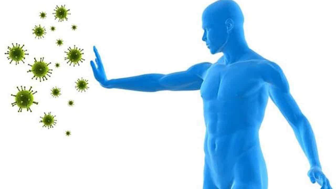 외부 환경으로부터 몸을 지켜주는 첫 번째 방어선